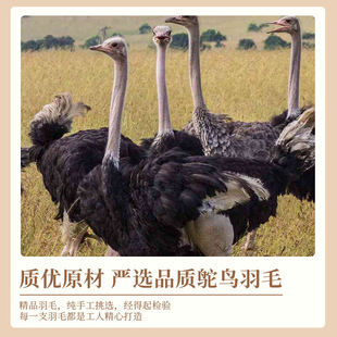 13-15cm multi-layer encryption ostrich feather diy handmade feather wedding decoration feather material ostrich feather