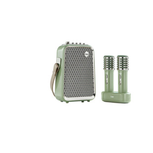 Family Ktv Small Audio Shell Mold Customization Bluetooth Desktop Mini Audio Plastic Mold Injection Molding Processing