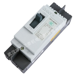 Chint Molded CAse Circuit BreAker Air Switch DZ15-40 / 3902 40A