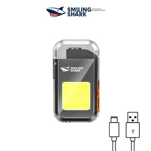Thermal wire lighter with flashlight windproof cigarette lig