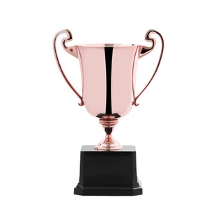 Cross-Border New Trophy Custom-Made Metal Trophy Event Competition Metal Crafts Wholesale Resin Trophy Customization