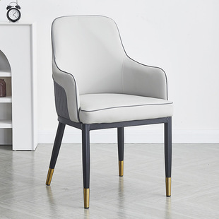 Light Luxury Simple Household Dining Chair Modern Backrest Chair Rest Milk Tea Shop Dessert Shop Cafe Living Room Chair