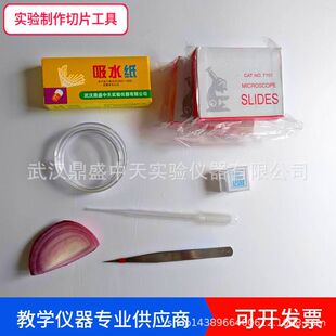 Biological Temporary Loading Making Tools Dilute Iodine Liquid Film Dyed with Onion Inner Epidermis Absorbent Paper Cover Glass
