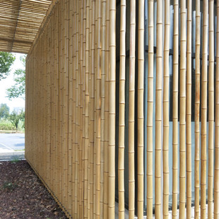 Bamboo Decoration Bamboo Pole Decoration Courtyard Indoor and Outdoor Anti-corrosion Vegetable Garden Fence Fence Fence Partition Rack Bamboo Pole Bamboo