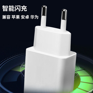 Cross-border 5V2A European standard charger USB charging head 5V1A plant lamp power adapter IC solution mobile phone