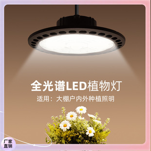 ✅100wled Plant Growth Lamp Simple High Display Finger Fleshy Light Indoor Adjustable Red Light