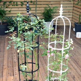 Amazon Source Gardening Assembly Simple U-shaped 8mm Climbing Flower Stand Outdoor White Flower Stand Climbing Vine Stand