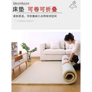 Four Seasons Universal Tatami Mattress Thickened Living Room Bedroom Full Floor Mat Baby Crawling Tatami Mat