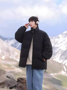 Cotton-padded jacket men's 2024 winter latest stand collar coat men's loose all-match cotton-padded jacket thickened casual warm cotton-padded jacket trendy