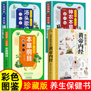 The Comic Book Explains the Yellow Emperor's Internal Classic, the Genuine Book That Explains the Origin of Health in the Twenty-Four Solar Terms and Twelve Hours