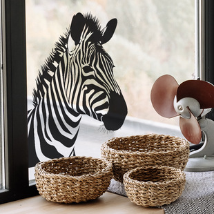 Fan Xi fun-f205 foreign trade painted simulation zebra glass doors and windows home decoration window stickers wholesale