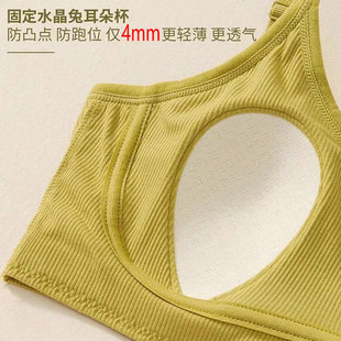Wholesale rabbit ears ultra-thin breast pad women's latex cotton large breast small anti-bump anti-light bra underwear pad
