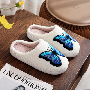 AliExpress Explosions Butterfly Printed Cotton Slippers Women's Autumn and Winter Thick Slippers Cross-border Source Wholesale