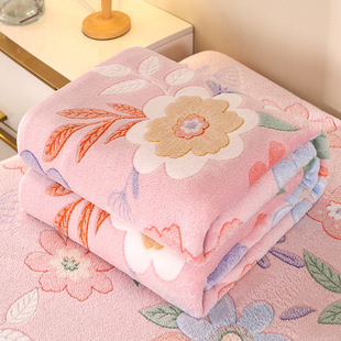 New Flannel Snow Fleece Blanket Thickened Soft Air Conditioning Sofa Blanket Cross-border Foreign Trade Gift Blanket Available in Four Seasons