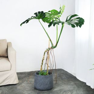 Magnesium clay flower pot European and American modern art living room Shopping Mall indoor and outdoor floor simple extra large model green plant Basin