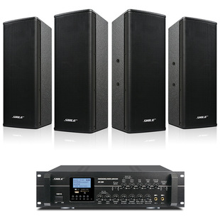 Lion music BX404 medium and large conference room audio set wall-mounted speaker power amplifier background music audio equipment