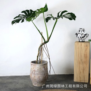 Quiet Wind Cement Flower Pot Extra Large Round Large Diameter Floor Shopping Mall Homestay Club Art Big Green Plant Potted Plant