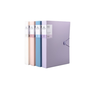 Morandi Information Book New Fashion Hasp Information Book Loose-leaf Transparent Test Paper Storage Bag 60 Page File Folder