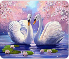 Swan Diamond painting brick painting 5d Diamond painting round diamond full diamond DIY Diamond painting Diamond stickers diamond embroidery painting