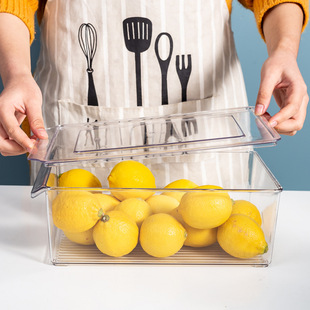 Factory Supply Kitchen Transparent Refrigerator Storage Box Food Refrigeration Dumpling Storage Box Plastic PET Egg Preservation Box