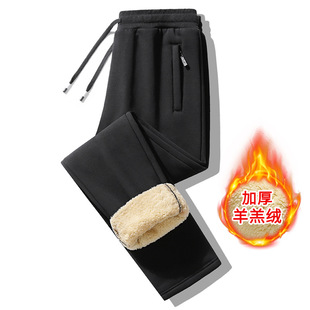 Cross-border Fleece-lined Pants Men's Winter Casual Pants Thickened Solid Color Sports Warm Lamb Fleece plus size All-match Long Pants