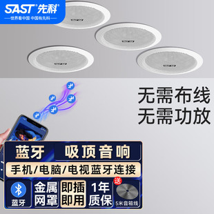 Xianke (SAST) D30 Active Wireless Bluetooth Ceiling Audio Ceiling Embedded Home Living Room Shop Back