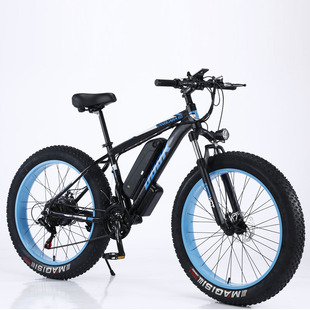 Factory wholesale DOOK electric bicycle snow lithium battery adult variable speed 750W shock absorption off-road moped
