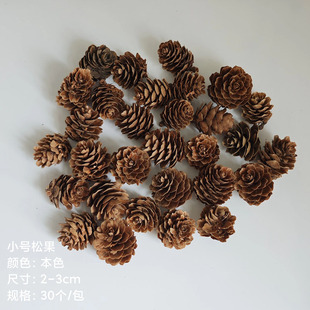 Christmas natural pine cone Christmas tree diy rich fruit decoration floral material package shooting props