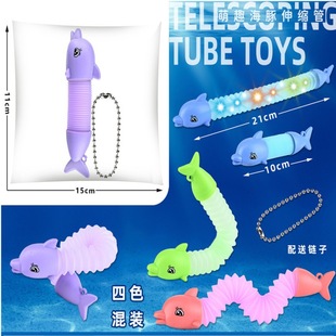 Cross-border decompression toys changeable telescopic tube cute pet key chain decompression creative stall maternal and child stretch toys wholesale
