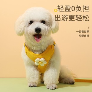 Cross-border pet leash vest-style cat and dog chest back pet supplies anti-break free dog leash factory wholesale