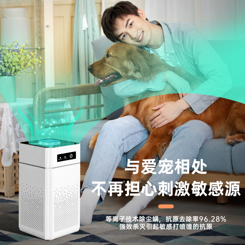 Smart negative ion air purifier sterilization in addition to formaldehyde filter USB portable silent desktop odor remover