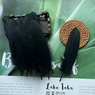 Factory wholesale shellfish feather goose feather diy handmade jewelry accessories crafts cat toys decorative feathers