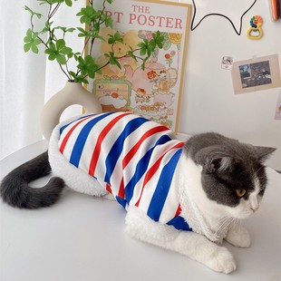 Очистка кошачьей одежды зимой