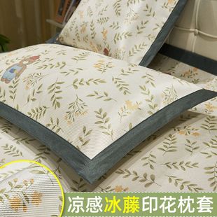 Pillowcase Summer Ice Silk Pillowcase Cartoon Pillowcase Pair 48x74cm Single Student Dormitory Washable