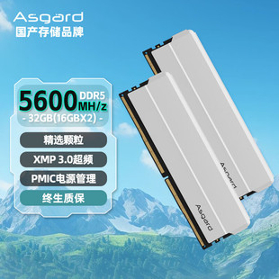 Asgard 32Gb (16Gbx2) Set Ddr5 Desktop Computer Memory Stick Helia Titanium Silver Suitable for D5