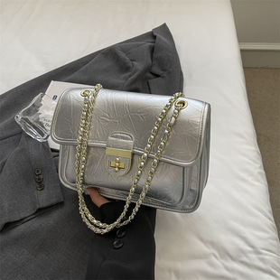 Commuter Niche Chain Small Square Bag Women's Bag 2024 Summer New Fashionable Shoulder Crossbody Bag High-end Sense Wandering Bag