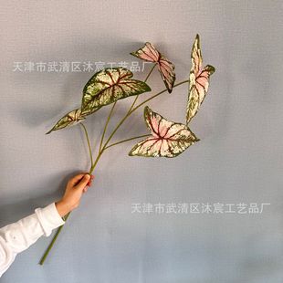 3D печать моделирование 5 вилок Caiyu Ye Sen серия лист зеленое растение лист бегонии Свадебный лист украшение дома мягкое украшение