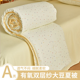 2025 New Class A Double-layer Yarn Soybean Printed Summer Quilt Four-piece Set Summer Cool Air-conditioning Quilt Spring and Autumn Quilt Core Quilt
