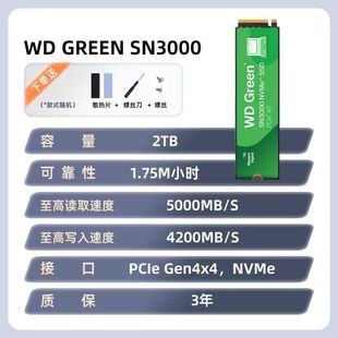 Western Digital SSD SSD SN3000 M.2 NVMe PCIe4.0 for Desktop Notebooks