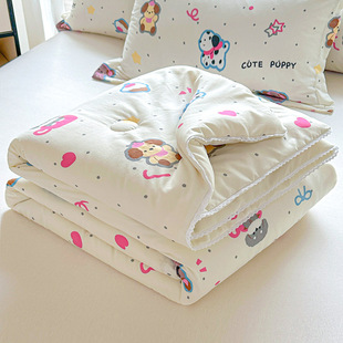 New Type A Small Fresh Aerobic Double-layer Wrinkle Yarn Washed Cotton Summer Cool Quilt Printed Household Machine Washable Air-conditioning Quilt