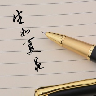 New Immortal Pen Thick and Fine Art Curved Pointy Pen for Beginners Adult Calligraphy Hard Pen Calligraphy Signature Engraved logo