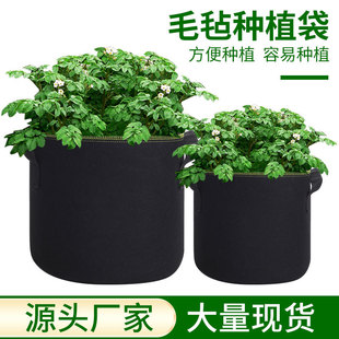 in stock wholesale felt planting bag thickened portable non-woven bag vegetable flower growth bag ecological