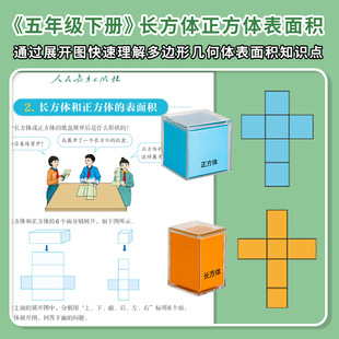 Perspective solid geometry demonstration model primary school grade 1-6 geometry area expansion diagram mathematics teaching aids