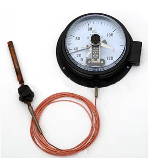 Factory Wholesale Fuyang Electric Contact Thermometer WTQ-288 Etc and Stainless Steel Pressure Type Pressure Thermometer
