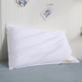 Factory direct hotel pillow core home bedding adult children home feather velvet neck pillow buckwheat pillow