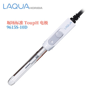 Япония оригинальный подлинный HORIBA Horiba TOUPH электрод 9681S-10D