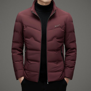 2024 autumn and winter down jacket men's stand collar autumn and winter short men's clothing young and middle-aged men's down jacket 1029