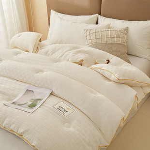 Class A soybean fiber quilt winter quilt core two-in-one child spring and autumn quilt student dormitory single four-season universal