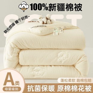 Wholesale Class A Maternal and Infant Grade Xinjiang Cotton Quilt 100 Pure Cotton Quilt Core Thickened Student Dormitory Double Winter Quilt