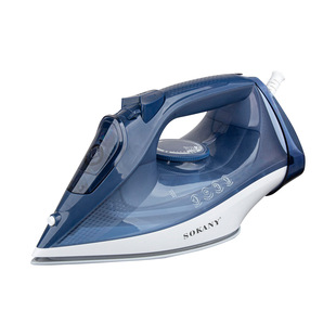 Foreign trade 110V U.S. European iron household ironing clothes fast wrinkle steam iron 2400W electric iron